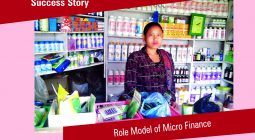 Role Model of Micro Finance