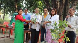 निःशूल्क फलफूलका बिरुवा वितरण