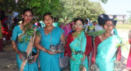 निःशूल्क फलफूलका बिरुवा वितरण २०८२