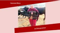 उद्यमी बन्न सफल दिपा तामाङ्गको कथा